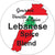 Lebanese Spice Blend