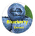 Blueberry Extract Flavoring